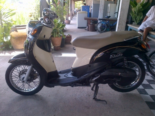 ด่วน!ยามาฮ่าฟีโน่ ปี51 รถเครื่องเดิมแน่นๆ พร้อมใช้ ทะเบียน+เอกสารโอน ภาษีไม่หมด 088-2197709