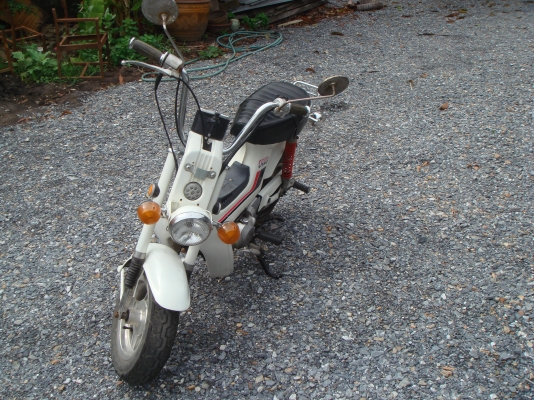 ขายด่วน!!! HONDA Chaly