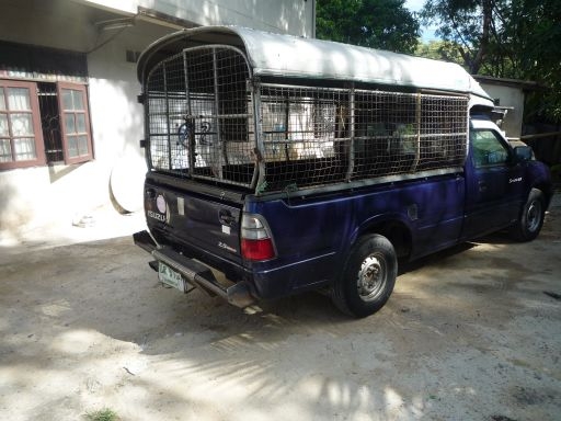 ISUZU ดราก้อนเดิมๆ ขายถูก