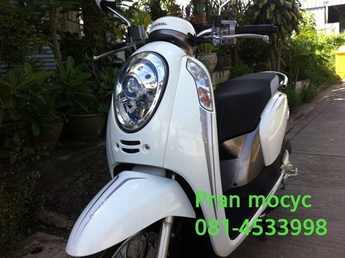ขายscoopyสีขาวเทาปี2556 พร้อมโอนให้ฟรี