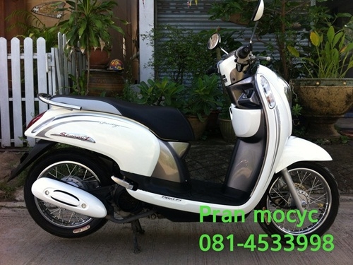 ขายscoopyสีขาวเทาปี2556 พร้อมโอนให้ฟรี