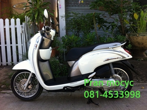 ขายscoopyสีขาวเทาปี2556 พร้อมโอนให้ฟรี
