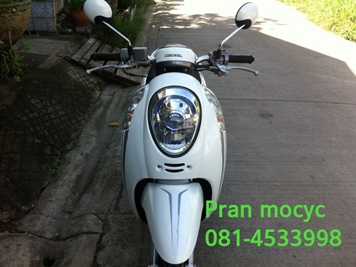 ขายscoopyสีขาวเทาปี2556 พร้อมโอนให้ฟรี