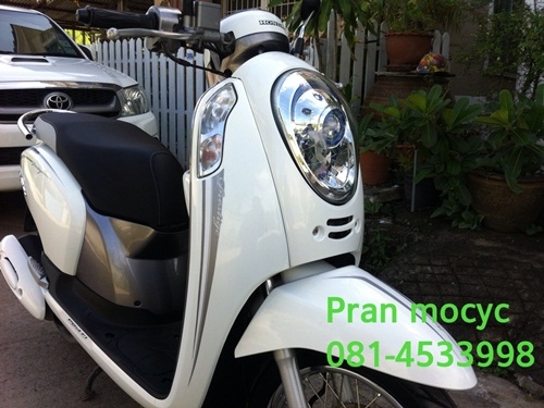 ขายscoopyสีขาวเทาปี2556 พร้อมโอนให้ฟรี