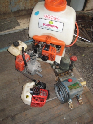 ขายเหมา 8,000