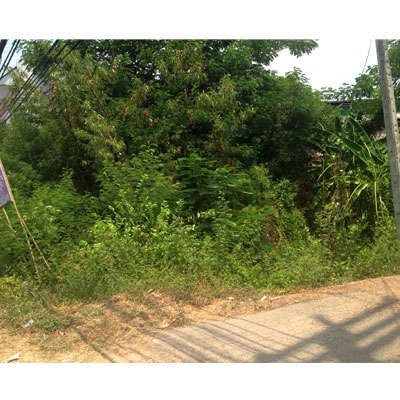 ขายที่ดิน ทำเลทอง สันป่าตอง เชียงใหม่  ขายเองราคาถูกมาก