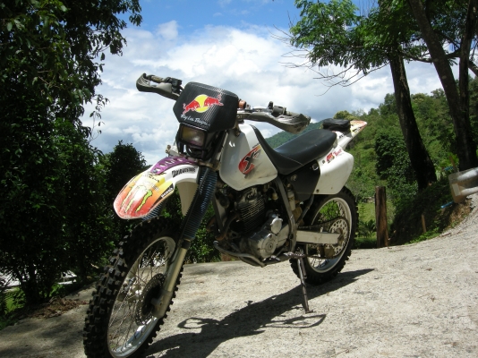ขาย XR 250 สตาร์ทมือปี 96 พร้อม สรรพสามิต