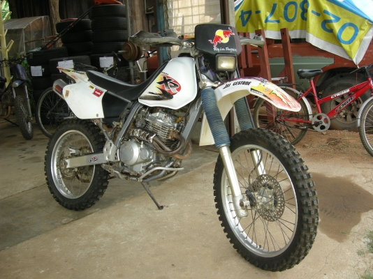 ขาย XR 250 สตาร์ทมือปี 96 พร้อม สรรพสามิต