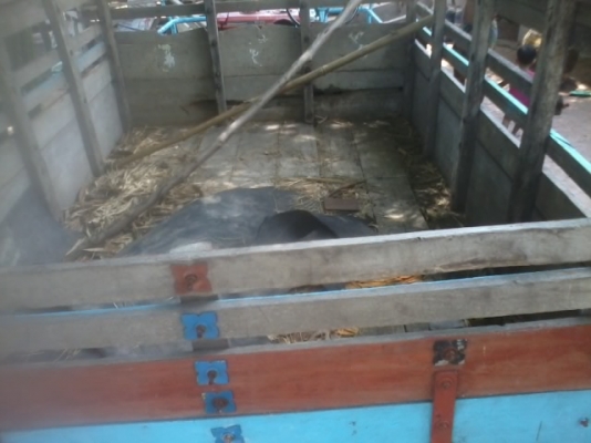 ขายรถอีแต๋น เครื่องคูโบต้า 11 แรง เครื่องดี มีคอกไม้ ราคาเบาๆต่อรองได้