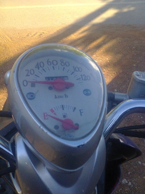 ฟีโน่ปี49