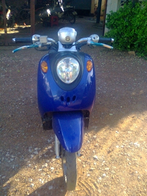 ฟีโน่ปี49