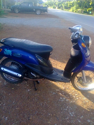 ฟีโน่ปี49