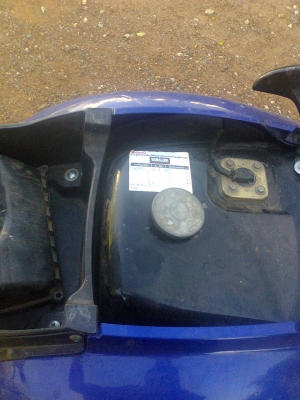 ฟีโน่ปี49