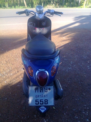 ฟีโน่ปี49