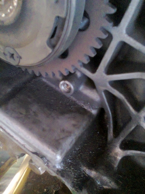 ฟีโน่ปี49