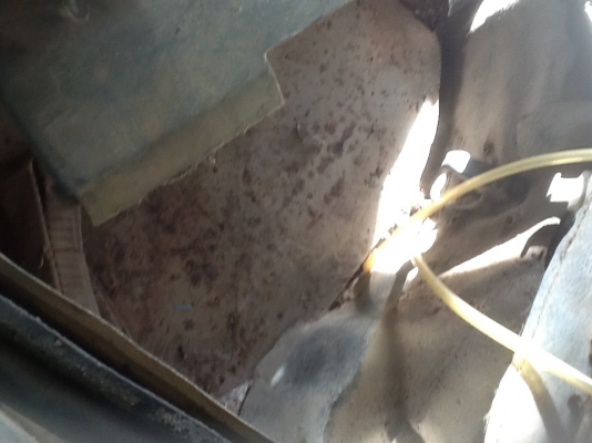 ของฝากนักปั้นขายด่วน หัว NPR 115 ของฝากนักปั้นขายด่วน หัว NPR 115