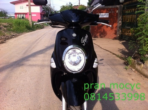 ขายfiore สีดำน้ำตาลปี2555