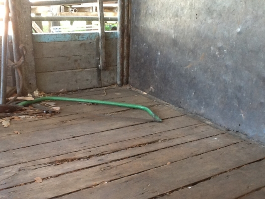 ขายด่วน NKR 58LU5 เครื่อง4BE1แคชชีสวยจัดเครื่องดีพร้อมใช้งาน ขายด่วน NKR 58LU5 เครื่อง4BE1แคชชีสวยจัดเครื่องดีพร้อมใช้งาน