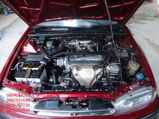 ขายรถ honda accord สีแดงสวย ราคา 65,000 บาท ++++++++ ขายรถ honda accord สีแดงสวย ราคา 65,000 บาท ++++++++