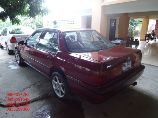 ขายรถ honda accord สีแดงสวย ราคา 65,000 บาท ++++++++ ขายรถ honda accord สีแดงสวย ราคา 65,000 บาท ++++++++