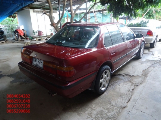 ขายรถ honda accord สีแดงสวย ราคา 65,000 บาท ++++++++ ขายรถ honda accord สีแดงสวย ราคา 65,000 บาท ++++++++