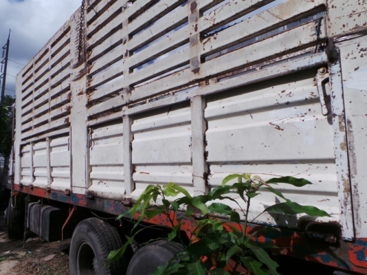 HINO FM1J 220 แรงม้า มีระบบพ่วง หัวเดิม เครื่องเดิมค่ะ คัซซีสวยนะ