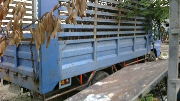 Isuzu NQR 140 แรง ยาว 4.5 M Isuzu NQR 140 แรง ยาว 4.5 M