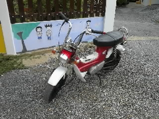 ขายชาลี แต่งยุ่น สุพรรณบุรี