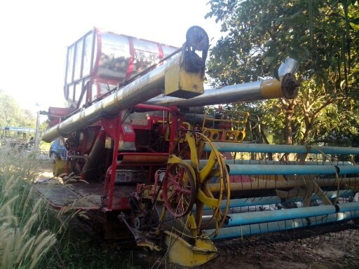 ขายรถเกี่ยว ศักดิ์พัฒนา พร้อมใช้ อุ้มสองตัน 195 ราคา400000 ถ้วนๆๆๆๆๆโทร. 0836798716 หน่องร้อยเอ็ดเจ้าเก่า ขายรถเกี่ยว ศักดิ์พัฒนา พร้อมใช้ อุ้มสองตัน 195 ราคา400000 ถ้วนๆๆๆๆๆโทร. 0836798716 หน่องร้อยเอ็ดเจ้าเก่า