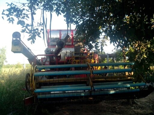 ขายรถเกี่ยว ศักดิ์พัฒนา พร้อมใช้ อุ้มสองตัน 195 ราคา400000 ถ้วนๆๆๆๆๆโทร. 0836798716 หน่องร้อยเอ็ดเจ้าเก่า ขายรถเกี่ยว ศักดิ์พัฒนา พร้อมใช้ อุ้มสองตัน 195 ราคา400000 ถ้วนๆๆๆๆๆโทร. 0836798716 หน่องร้อยเอ็ดเจ้าเก่า