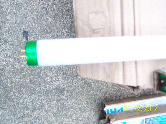 หลอดไฟฟิลลิปส์  ยาว 1.20 เมตร ของใหม่