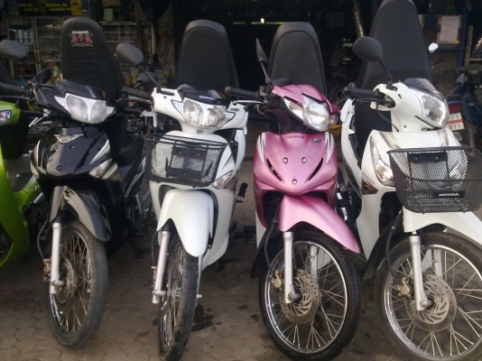 รถเวฟ 100 110i 125 125i ตัวใหม่เก่า หลายคัน