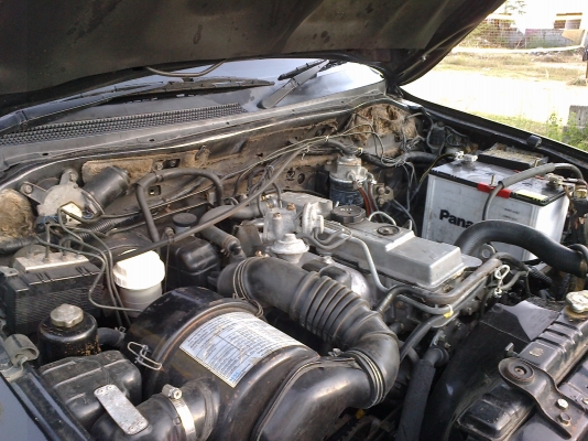 โฟวิลมิซซู สวยงาม