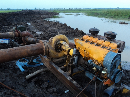 ให้เช่าเครื่องสูบน้ำหอยโข่ง