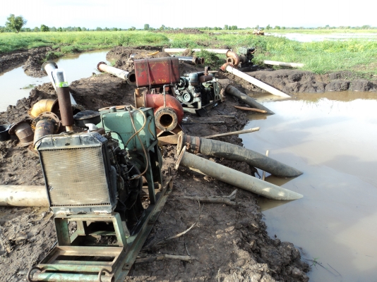 ให้เช่าเครื่องสูบน้ำหอยโข่ง