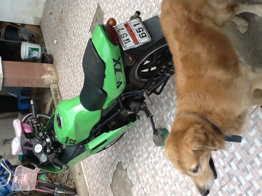 ZX150 ทะเบียนโอน ไม่ขาดต่อ