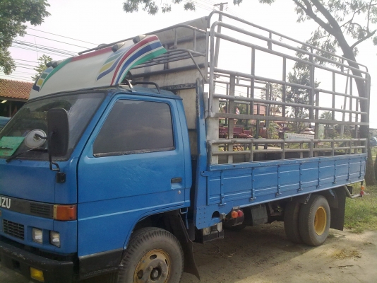 ขาย ISZUZU หกล้อNPR58L ขาย ISZUZU หกล้อNPR58L