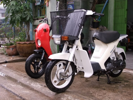 SUZUKI MOL LET