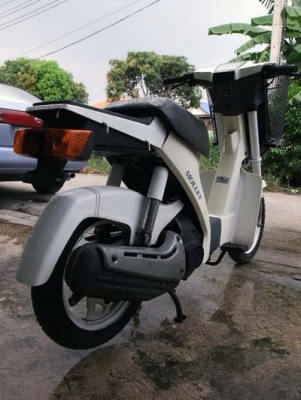 SUZUKI MOL LET