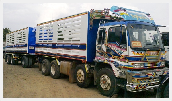 ขาย DAGA 320 ยูโร2 ปี 50 เเม่ลูกดั้ม