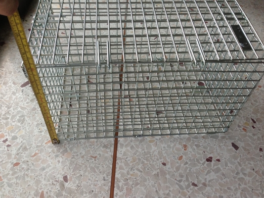 (ของใหม่) ขายกรง/ตะกร้าเหล็กพับได้ (ของใหม่) ขายกรง/ตะกร้าเหล็กพับได้