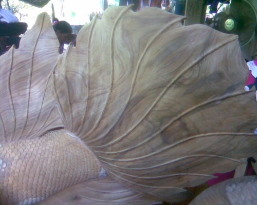 ปลากัดจีนแกะสลักจากตอไม้สักทอง ปลากัดจีนแกะสลักจากตอไม้สักทอง