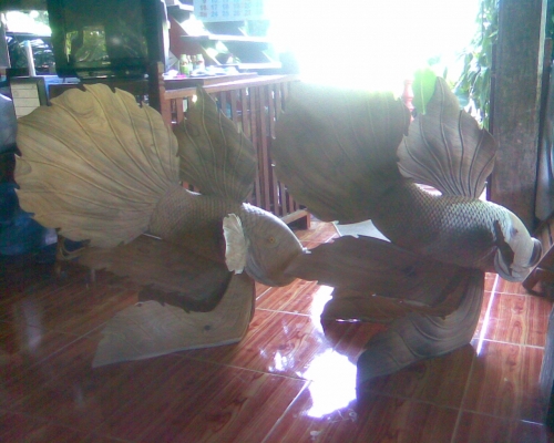 ปลากัดจีนแกะสลักจากตอไม้สักทอง ปลากัดจีนแกะสลักจากตอไม้สักทอง