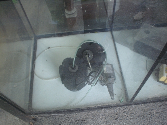 ตู้ปลา  36  ทรงสูงพิเศษ  ตู้ตัด  พร้อมขา อุปกรณ์พร้อม ราคาพิเศษ