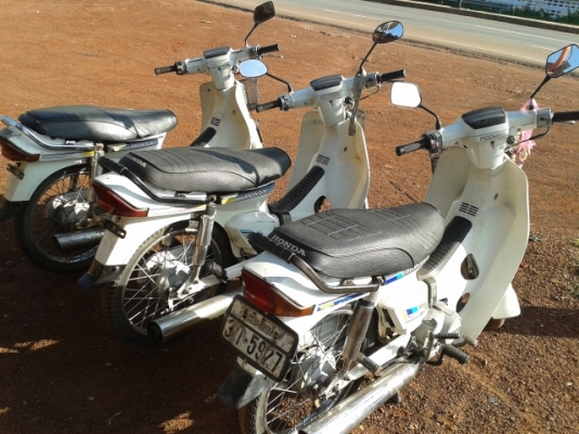 ดรีมคุรุสภาแท้เดิมๆสีขาวตรงเล่ม