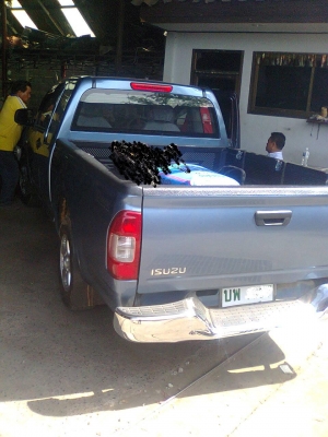 ขายรถกระบะดีแม็ค ปี 47 สภาพสวยเดิม