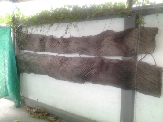 ไม้เก่าลายสวย