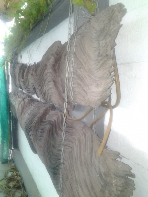 ไม้เก่าลายสวย