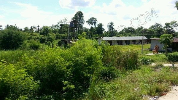 ขายที่ดินพร้อมโรงงาน 14 ไร่ 1 งาน 23 ตารางวา จังหวัดนครสวรรค์ ติดต่อเจ้าของโดยตรง คุณพรชนก 081-785-5285 คุณพิชัย 081-475-3430 ขายที่ดินพร้อมโรงงาน 14 ไร่ 1 งาน 23 ตารางวา จังหวัดนครสวรรค์ ติดต่อเจ้าของโดยตรง คุณพรชนก 081-785-5285 คุณพิชัย 081-475-3430