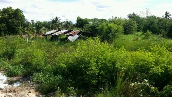 ขายที่ดินพร้อมโรงงาน 14 ไร่ 1 งาน 23 ตารางวา จังหวัดนครสวรรค์ ติดต่อเจ้าของโดยตรง คุณพรชนก 081-785-5285 คุณพิชัย 081-475-3430 ขายที่ดินพร้อมโรงงาน 14 ไร่ 1 งาน 23 ตารางวา จังหวัดนครสวรรค์ ติดต่อเจ้าของโดยตรง คุณพรชนก 081-785-5285 คุณพิชัย 081-475-3430